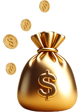 coin sack